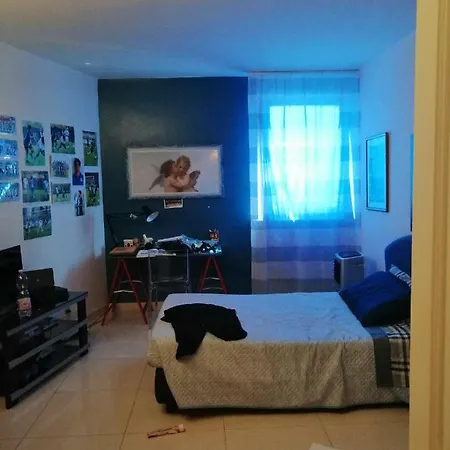 Stella 佩萨罗